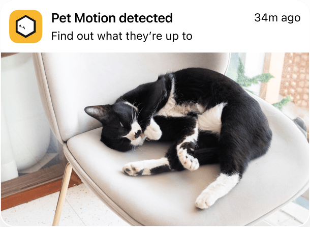 Notification