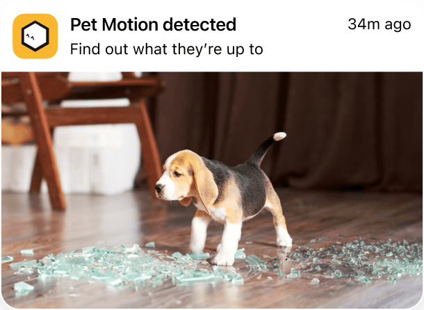 Notification